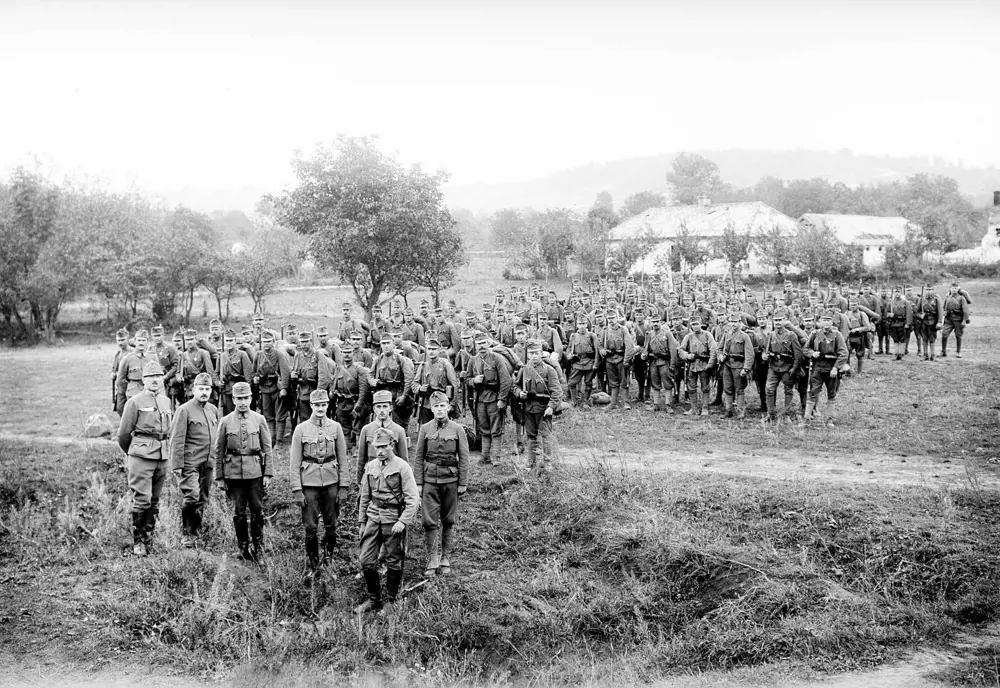 Koza priviazaná o komín na streche