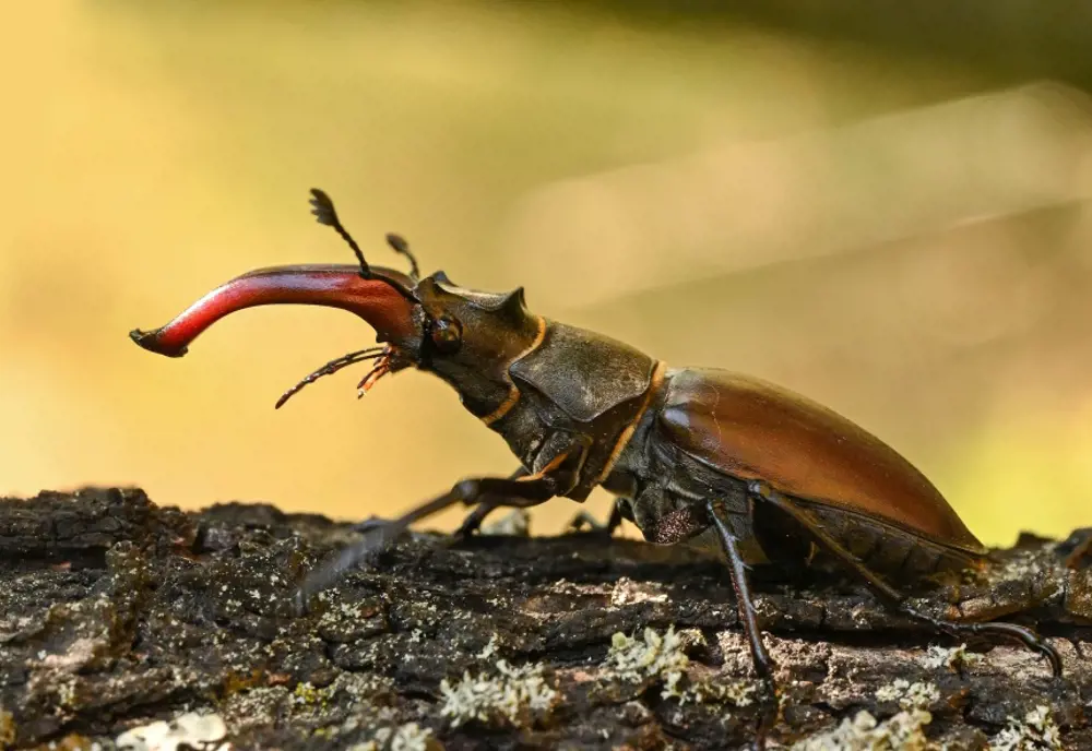 Každý snímka má svoj príbeh, ktorý jej dodáva hodnotu