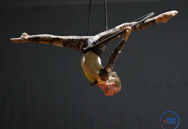 Majstrovstvá vo vzdušnej akrobacii