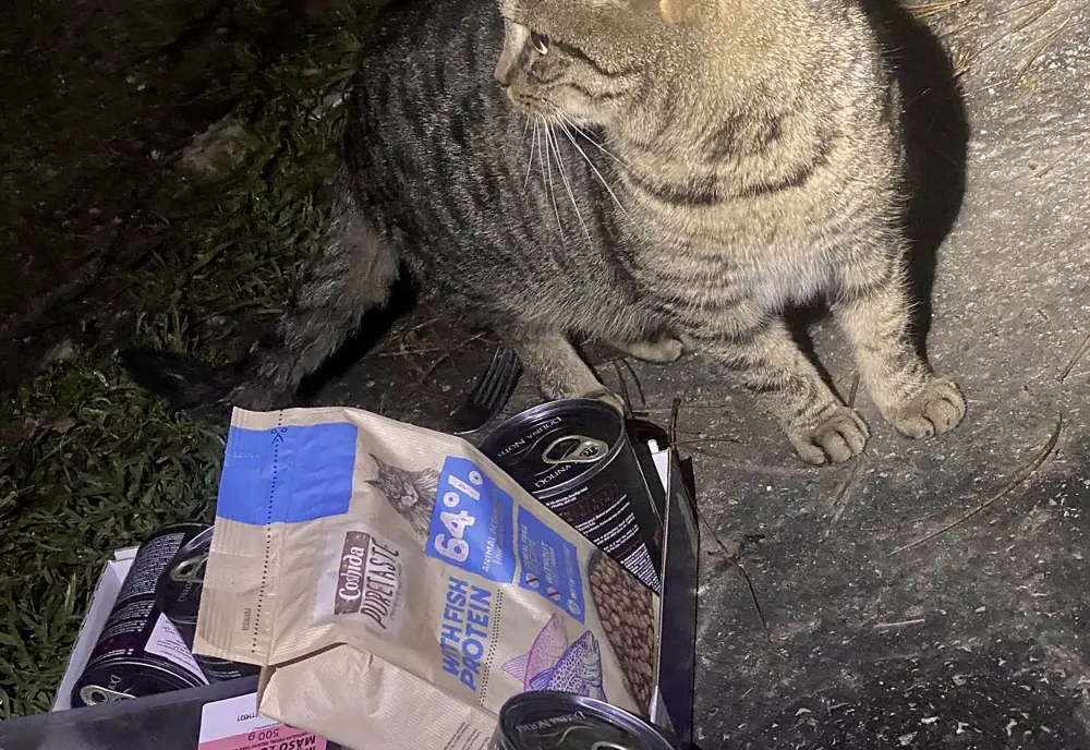 Pomoc, ktorá nie je len o jednom príbehu