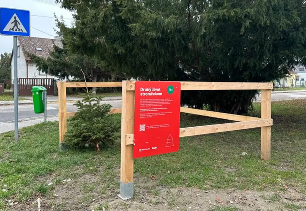 Vianočný stromček môže byť knižnicou