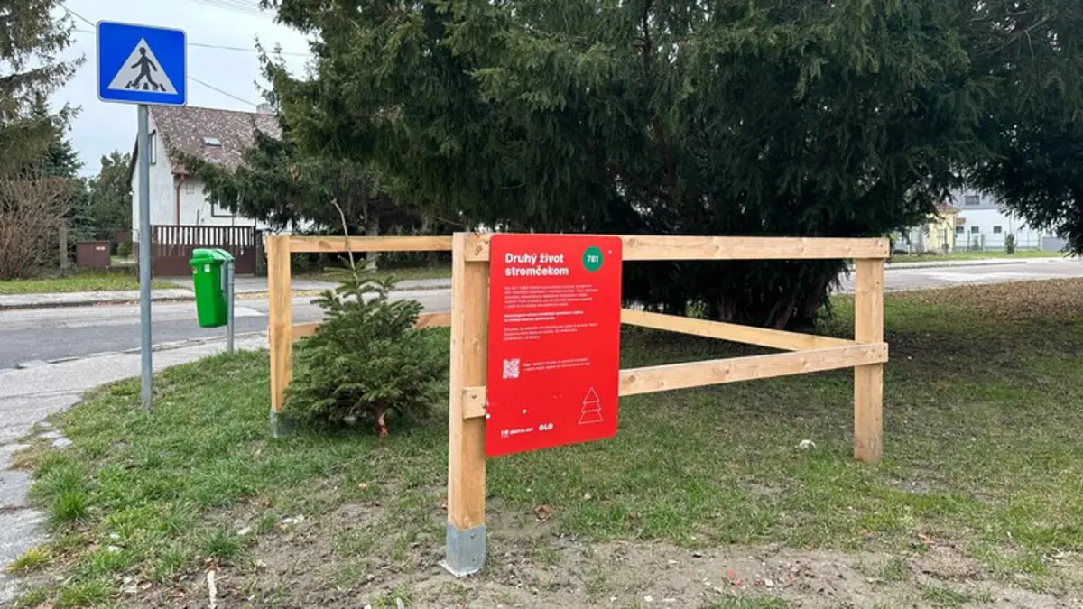 Vianočný stromček môže byť knižnicou